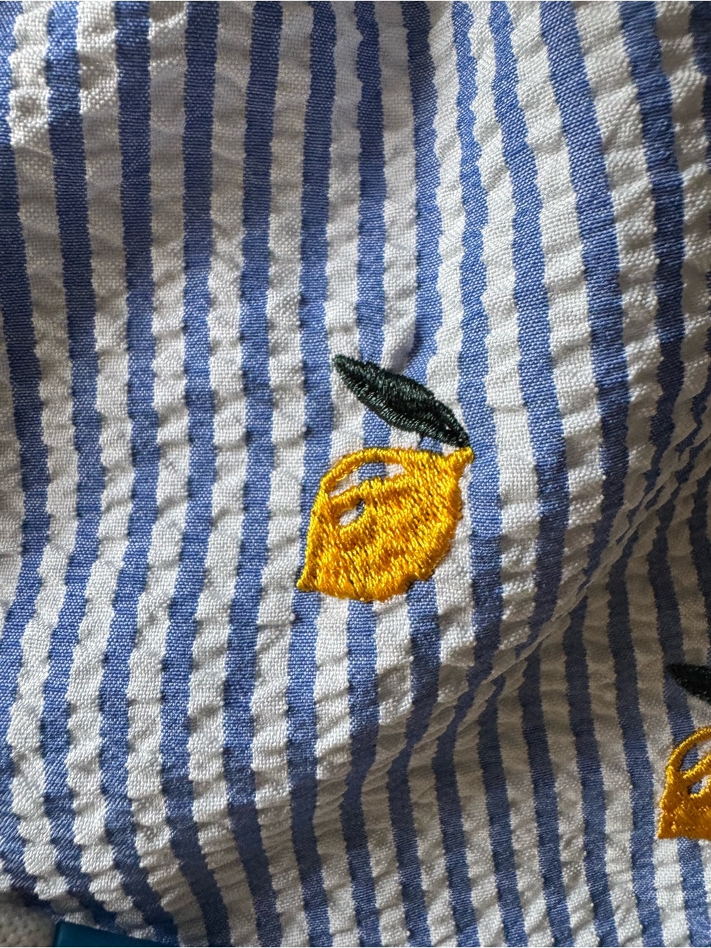 Warren Webber Blue & White Seersucker Swimsuit Mens L w/ Lemon Embroidery Beach - Picture 4 of 9